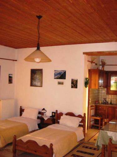 Gerakofolia Rooms To Let Konitsa Exteriör bild