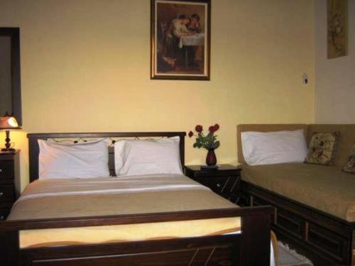 Gerakofolia Rooms To Let Konitsa Exteriör bild